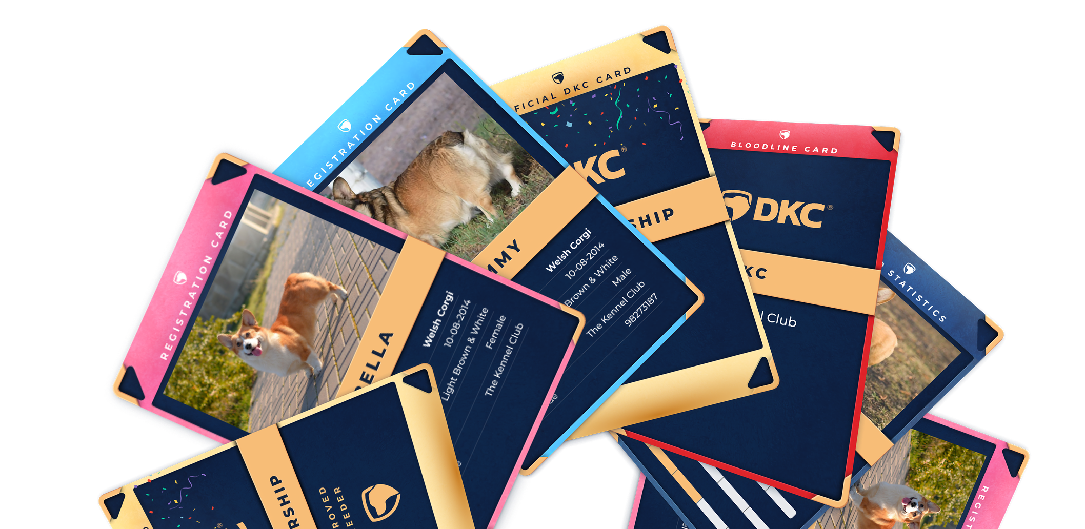 Digital Pedigree Cards Collection